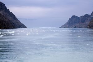 Drygalski Fjord, South Georgia 105_1.jpg